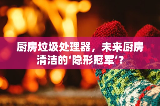 厨房垃圾处理器，未来厨房清洁的‘隐形冠军’？