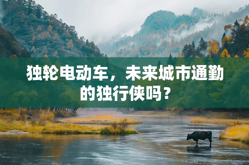 独轮电动车，未来城市通勤的独行侠吗？