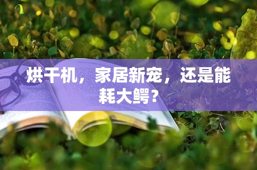 烘干机，家居新宠，还是能耗大鳄？