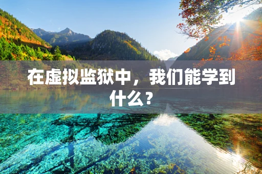 在虚拟监狱中，我们能学到什么？