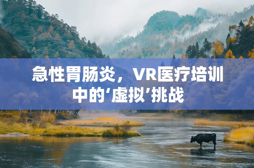 急性胃肠炎，VR医疗培训中的‘虚拟’挑战