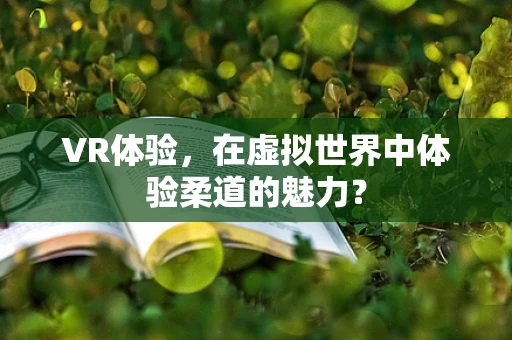 VR体验，在虚拟世界中体验柔道的魅力？