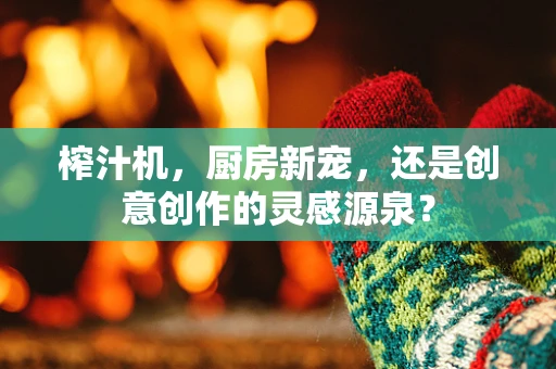 榨汁机，厨房新宠，还是创意创作的灵感源泉？