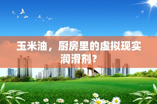 玉米油，厨房里的虚拟现实润滑剂？